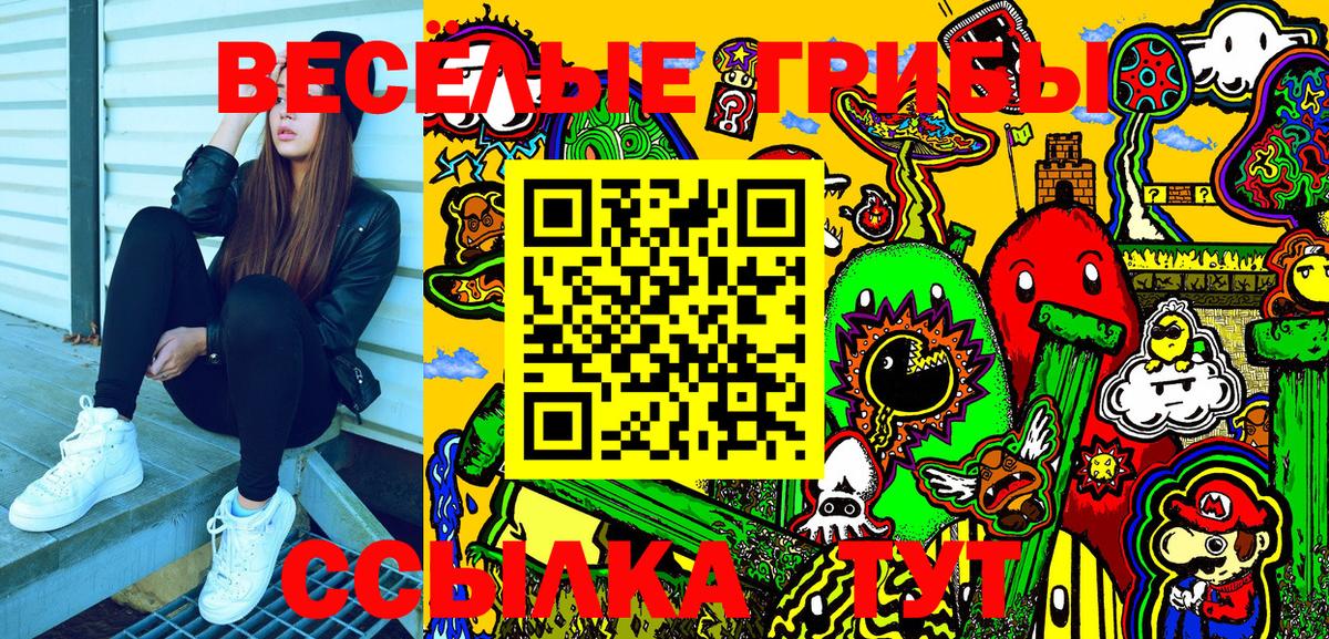 Галлюциногенные грибы Psilocybe  Вход с VPN  Осинники  Псилоцибиновые грибы MAGIC MUSHROOMS 